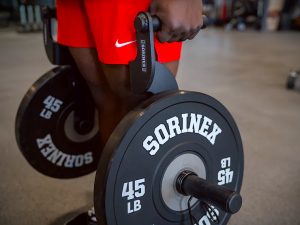 Sorinex Ranch Hands Farmer's Carry Handles - Compact, plate-loaded ...